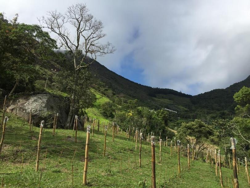 Pousada Quinta Das Nascentes Petrópolis Extérieur photo